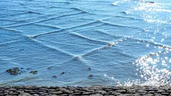 「マトリックスの不具合」：ミシガン湖で珍しい四角い波が観測された