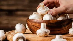 1週間も新鮮さを保つ:農家がキノコを長持ちさせる秘訣を明かした