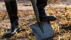 4月は家庭菜園にこの肥料をまくべき：土が10倍も肥沃になる