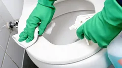 トイレは芳香剤なしでも爽やかな香りに：化学薬品不要の簡単テクニック