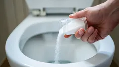 普通の塩でトイレの詰まりが10分で解消：どれくらい入れるべき？