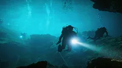 水中で絶え間なく続く生命：科学者たちが前例のない実験に着手