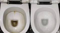 この溶液をコップ半分入れるだけで、トイレがホテルのようにピカピカに――清掃員の秘訣